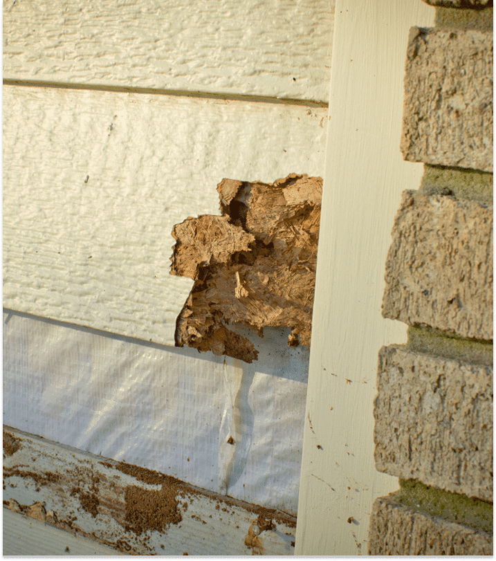 Siding installation project by Sands Roofing in the SC Midlands